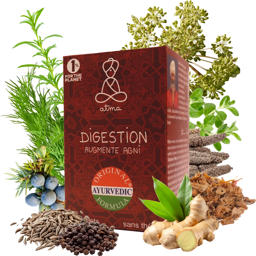 Digestion