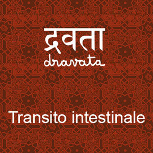 Pulsante per il nostro infuso ayurvedico Dravata